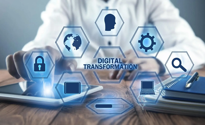 Digital Ecosystems