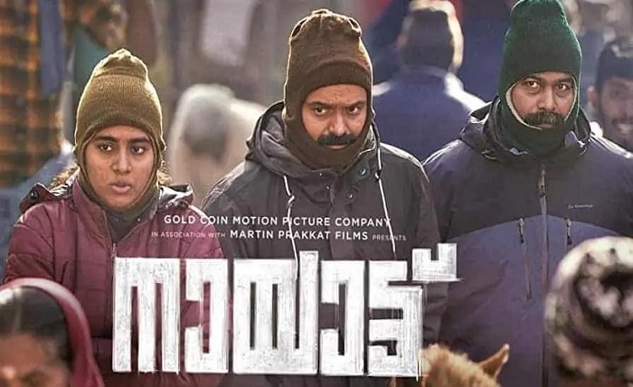 mallumv dvdplay