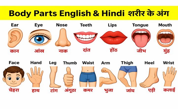 12 महीनों के नाम हिंदी और अंग्रेजी में